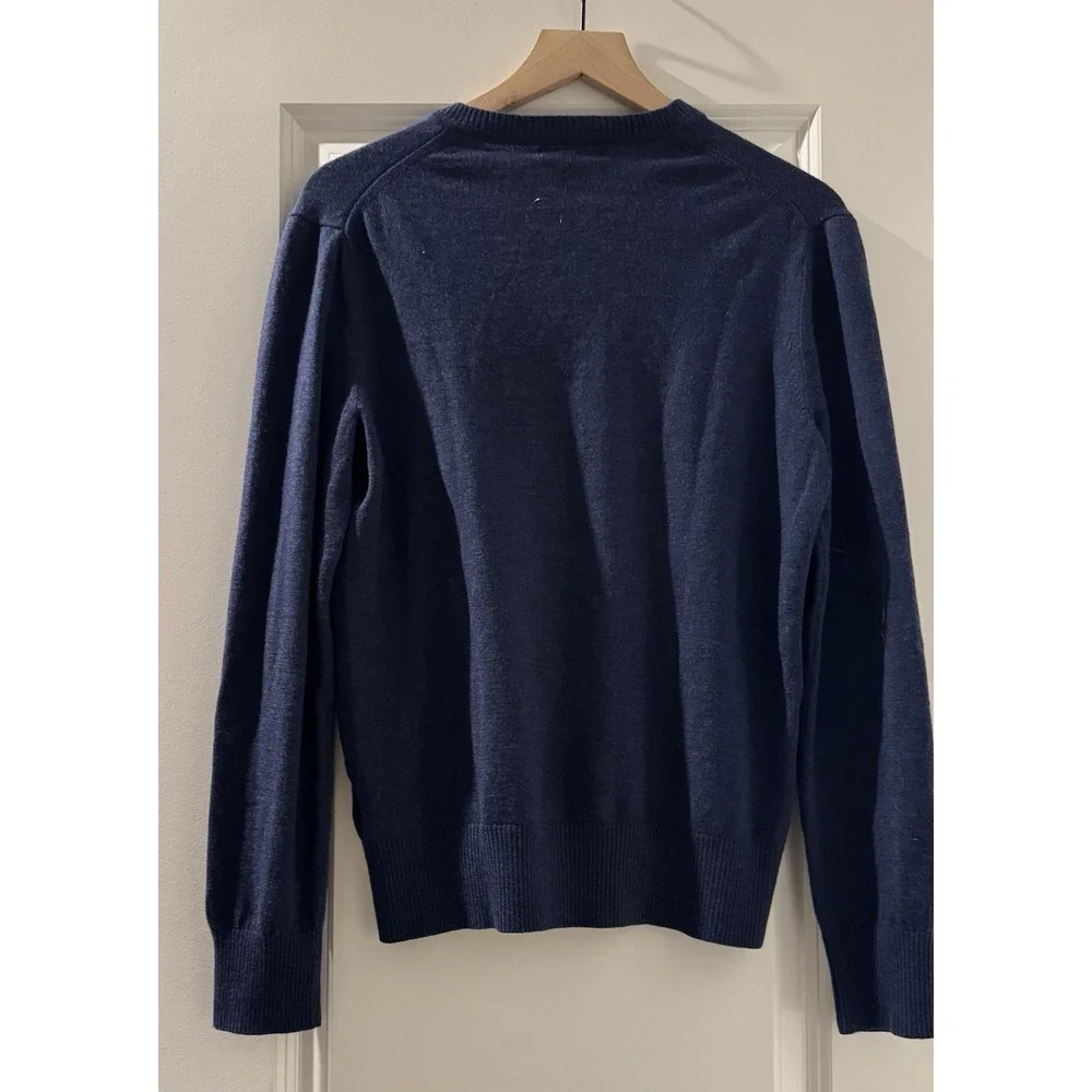 Banana Republic Extra Fine Merino Wool V Neck Sweater Mens Large Blue